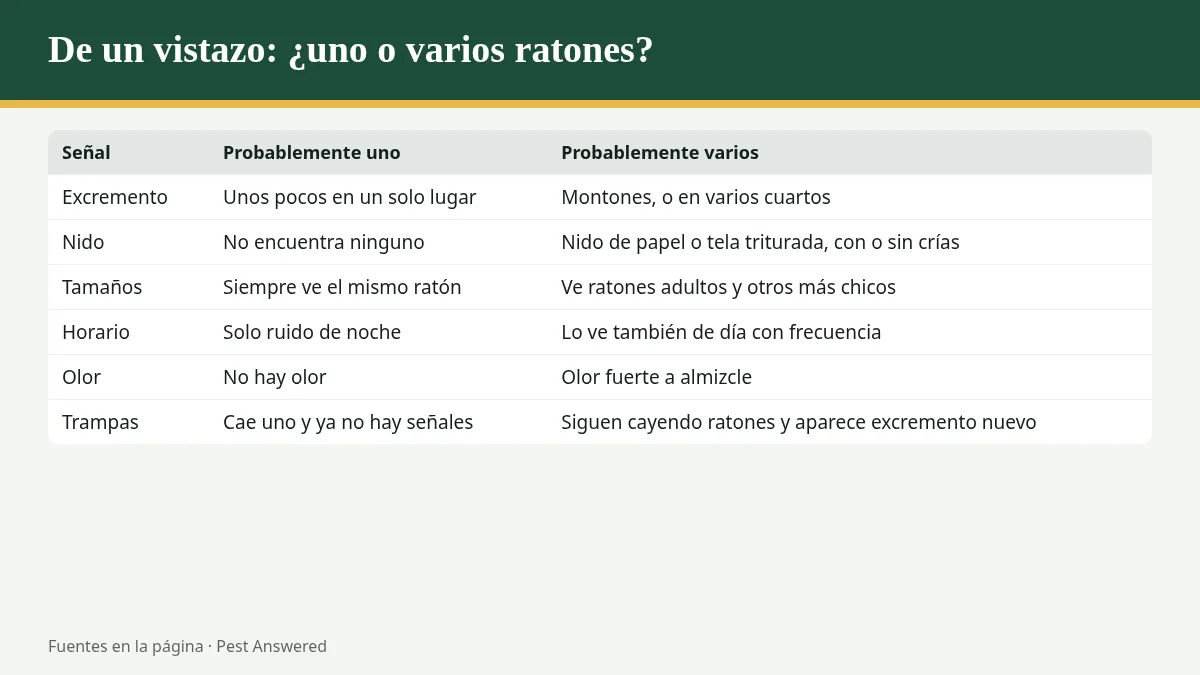 Resumen visual: Cómo saber si hay más ratones en casa