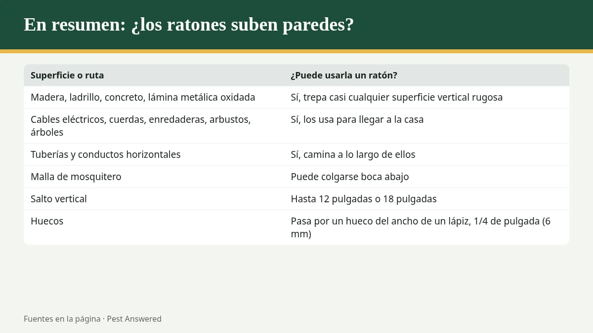 Resumen visual: ¿Los ratones pueden subir paredes?