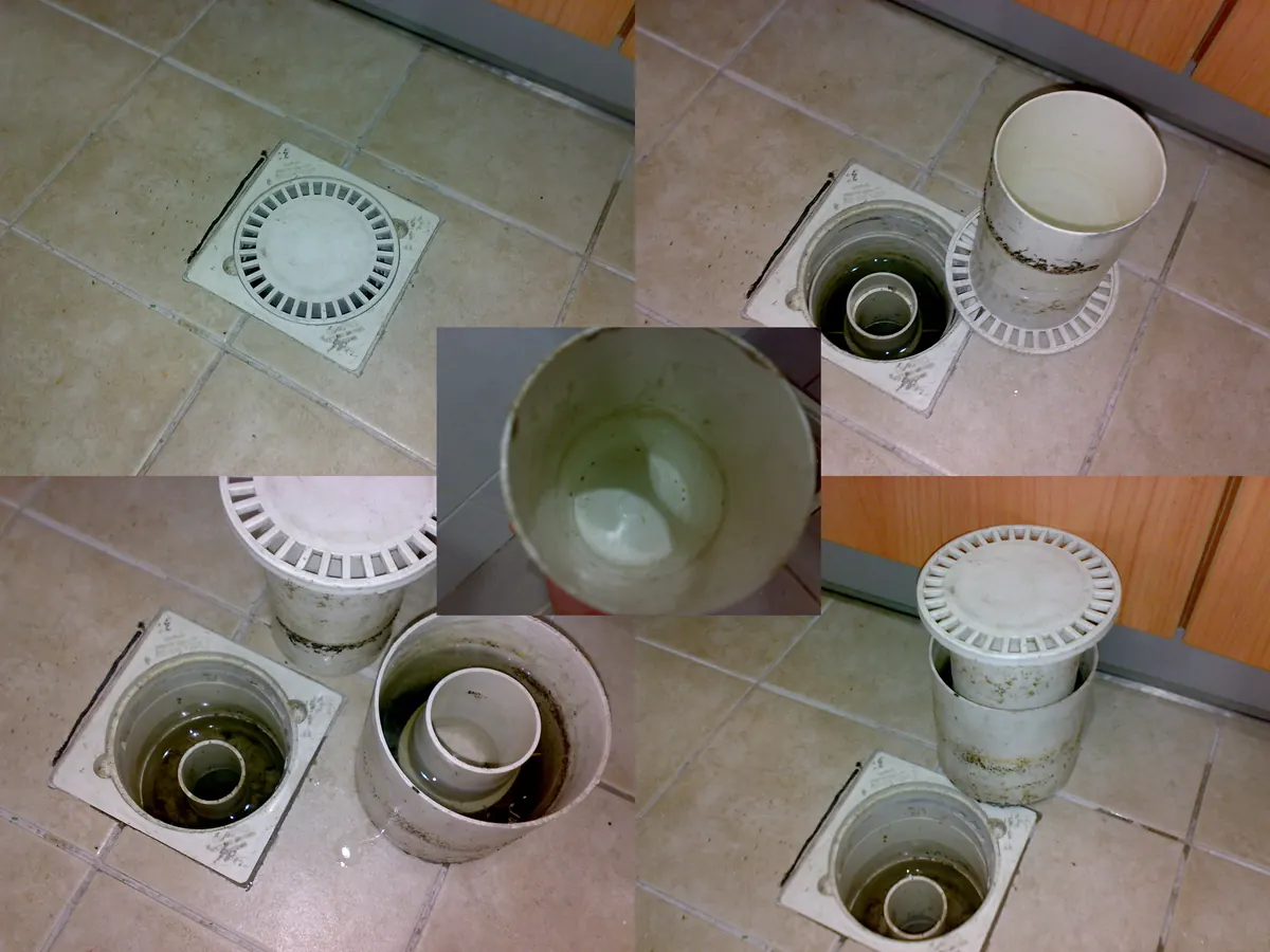 Rejilla de desagüe de piso abierta, con su sifón de agua y algunos insectos pegados debajo de la tapa