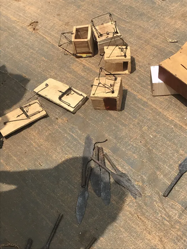 Two wooden mouse snap traps on a table